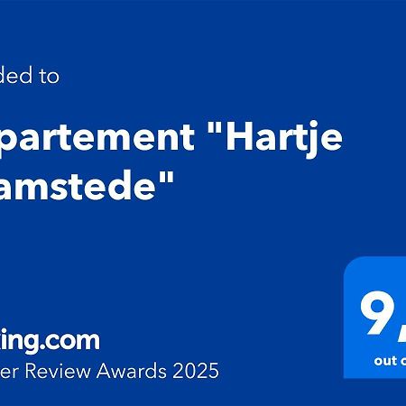 Appartement "Hartje Haamstede" Burgh-Haamstede Dış mekan fotoğraf